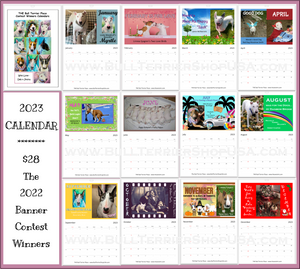 2023 Bull Terrier Place Banner Contest Winners Calendar