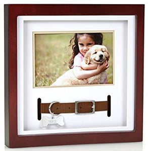 Frame - Dog Or Cat Pet Collar Keepsake Frame