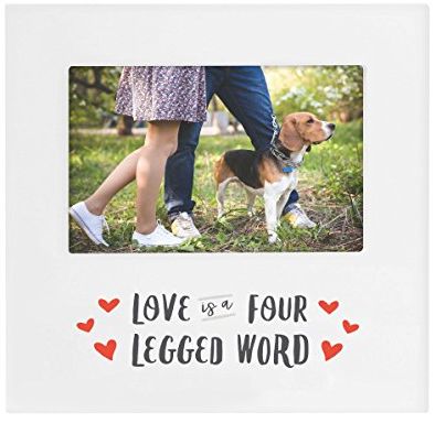 Frame - “Love is a Four Legged Word