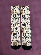 Bull Terrier Fashion Socks